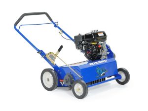 Bluebird Turf 22 in. Power Rake - Briggs NO REEL